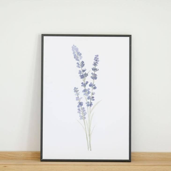 COLOR WATERCOLOR | Lavender #2 | A3 アートプリント/ポスター
