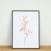 COLOR WATERCOLOR | Cherry Blossom #1 (pink) | A3 ȥץ/ݥ ̲ ץ ξʲ
