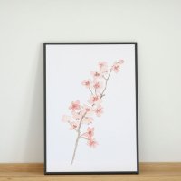 COLOR WATERCOLOR | Cherry Blossom #2 (pink) | A3 アートプリント/ポスター 北欧 シンプル おしゃれの商品画像