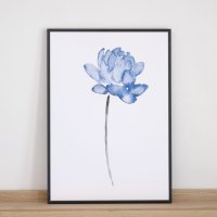 COLOR WATERCOLOR | Blue Lotus #2 | A3 アートプリント/ポスター 北欧 シンプル おしゃれの商品画像