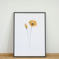 COLOR WATERCOLOR | Yellow Poppy | A3 アートプリント/ポスター 北欧 シンプル おしゃれの商品画像