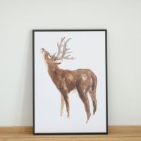 COLOR WATERCOLOR | Deer | A3 アートプリント/ポスター 北欧 シンプル おしゃれの商品画像