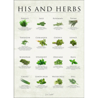 Simon Holst | His and herbs | 30x40cm ȥץ/ȥݥ ̲ ǥޡξʲ