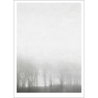 Ingrey Studio | Morning Fog | 30x40cm ȥץ/ȥݥ ̲ ǥޡ ̿ ʤξʲ