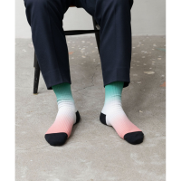 TRICOTE | GRADATION LINK SOCKS (green) | 靴下 ソックス トリコテの商品画像