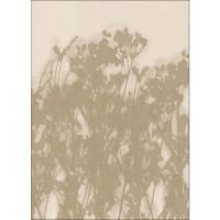 Dina Dankers | Wild Meadow in Ochre and White | 50x70cm �����ȥݥ����� �̲� �ǥ�ޡ��� 500x700mm�ξ��ʲ���