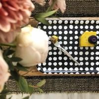 ann back made | dot tray (black) ѥȥ쥤 | Хåᥤ ̲ ե ɥå Υȡ ξʲ