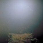 �����ݿ� / VENUS PENGUIN (LP)�ξ��ʲ���