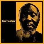 TERRY CALLIER / HIDDEN CONVERSATIONS (LP)�ξ��ʲ���