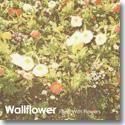 WALLFLOWER / FILLED WITH FLOWERS (CDEP)ξʲ