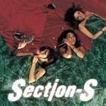 SECTION-S / WWW. (LP)�ξ��ʲ���