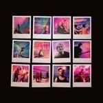 THE MIDNIGHT / RED, WHITE AND BRUISED: THE MIDNIGHT LIVE (LP)�ξ��ʲ���