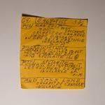 MAC DEMARCO / HERE COMES THE COWBOY DEMOS (LP)�ξ��ʲ���