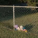 GOOD LOOKS / BUMMER YEAR (LP)�ξ��ʲ���