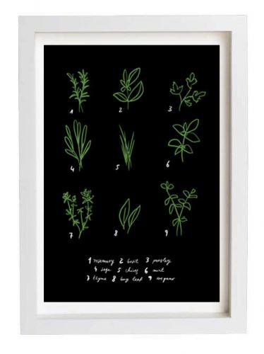 ANEK | BOTANICAL CHART HERBS | アートプリント/ポスター (50x70cm