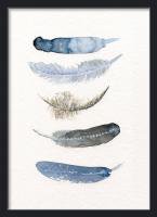 THE CLAY PLAY | WATERCOLOR BIRD FEATHERS (blue/black)(no.377) | A3 ȥץ/ݥξʲ