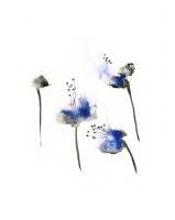 DUEALBERI | BLUE FLOWERS WATERCOLOR PRINT | A4 ȥץ/ݥξʲ