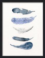 THE CLAY PLAY | WATERCOLOR BIRD FEATHERS (blue/navy) (no.378) | A4 ȥץ/ݥξʲ