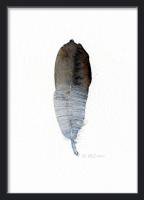 THE CLAY PLAY | GREY AND WHITE BIRD FEATHER (SINGLE) (no.366s) | A3 ȥץ/ݥξʲ