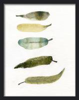 THE CLAY PLAY | WATERCOLOR BIRD FEATHERS (green/yellow) (no.283) | A3 ȥץ/ݥξʲ