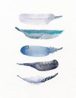 THE CLAY PLAY | WATERCOLOR BIRD FEATHERS (snowgray/blue) (no.368) | A3 ȥץ/ݥξʲ