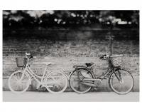 SWEET DREAMS & HONEY | BICYCLE | フォトグラフィ/ポスターの商品画像