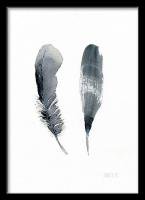 THE CLAY PLAY | WATERCOLOR BLACK BIRD FEATHER (DOUBLE) (no.473) | A4 ȥץ/ݥξʲ