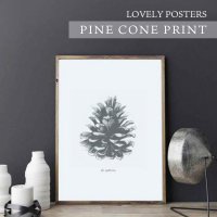 LOVELY POSTERS | PINE CONE PRINT | A3 アートプリント/ポスター インテリア 北欧 かっこいい 人気 レトロ モダン 白黒 モノクロ モノトーンの商品画像
