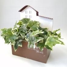 ウッドプランター - ガーデニング雑貨TOOLBOX