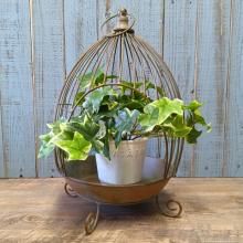 アンティーク風プランツゲージ アンティーク風プランツゲージ アンティーク風プランツゲージ