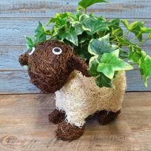 ナチュラル - ガーデニング雑貨TOOLBOX