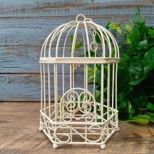 Сɥեɡ SG-502051W-60