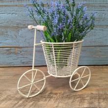 磻䡼ؼ SG-520008W-60