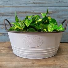 ǥ֥ꥭ饤 SG-548007W-120