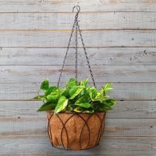 磻䡼ϥ󥮥󥰥Хå25 SG-590005-80