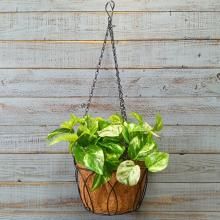 磻䡼ϥ󥮥󥰥Хå20 SG-590006-60