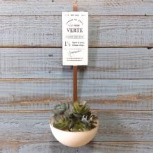 ֥ꥭ졼ɥWH SG-548001W-80