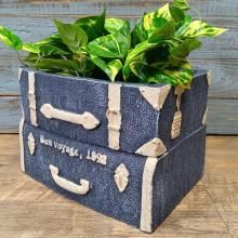 ơǥ˥ȥ CN-GFB432DM-80