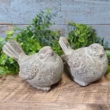 ����ƥ����С���SET2 CG-QE-11-60