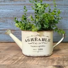 �����쥢���֥른�硼�� CN-HSAG12-60