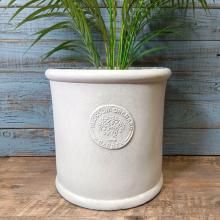 �֥��å���饦��� YZ-GF5212-100