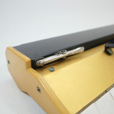 TOKAI PIANICA - piquant