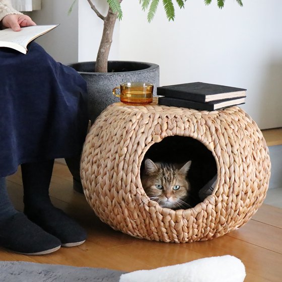 <img class='new_mark_img1' src='https://img.shop-pro.jp/img/new/icons57.gif' style='border:none;display:inline;margin:0px;padding:0px;width:auto;' />TABLE CAT HOUSE