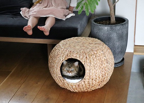 TABLE CAT HOUSE