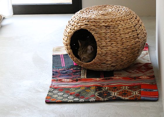 TABLE CAT HOUSE｜ NECOTO