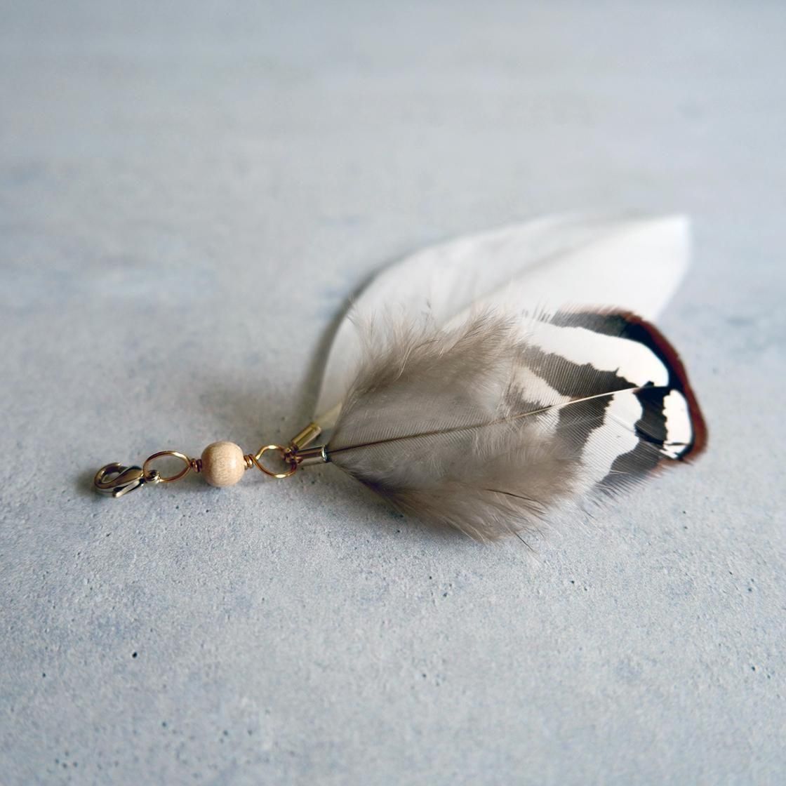 Fish The Cat / Featherʸѡ