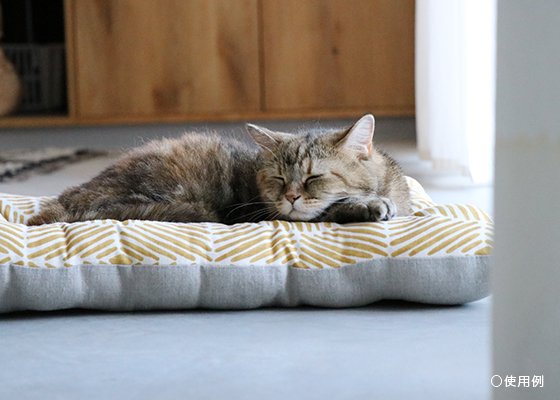 【受注製作】猫用ベッド/USコットン サマーランド＜イエロー＞