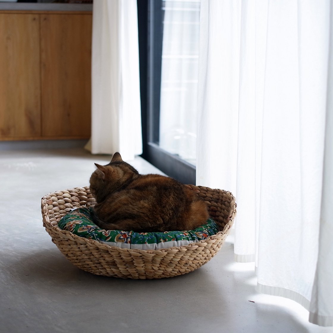 猫用 ウォーターヒアシンス ラウンドベッド｜猫とインテリアnecoto.