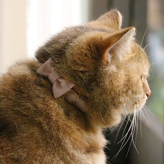 猫の首輪 やわらかサテン リボン付き パウダーピンク Necoto