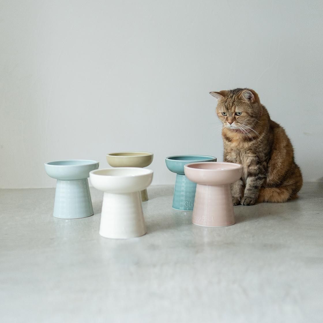 <img class='new_mark_img1' src='https://img.shop-pro.jp/img/new/icons57.gif' style='border:none;display:inline;margin:0px;padding:0px;width:auto;' />��20%OFF��Classy Bowl �����ȥ�åȥ�����